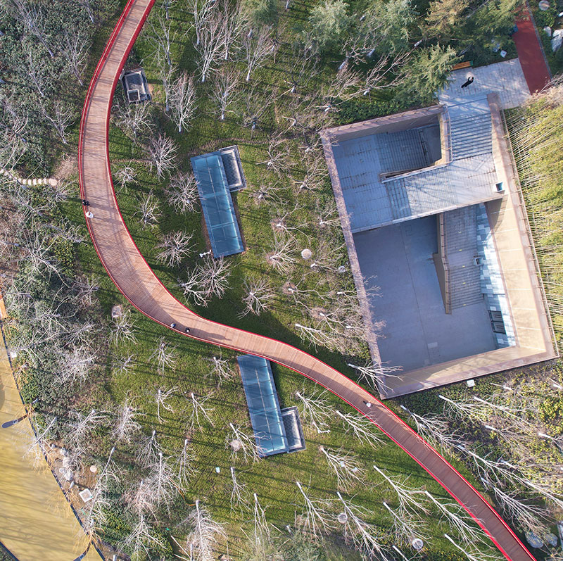 林梢棧道俯瞰 林梢棧道俯瞰