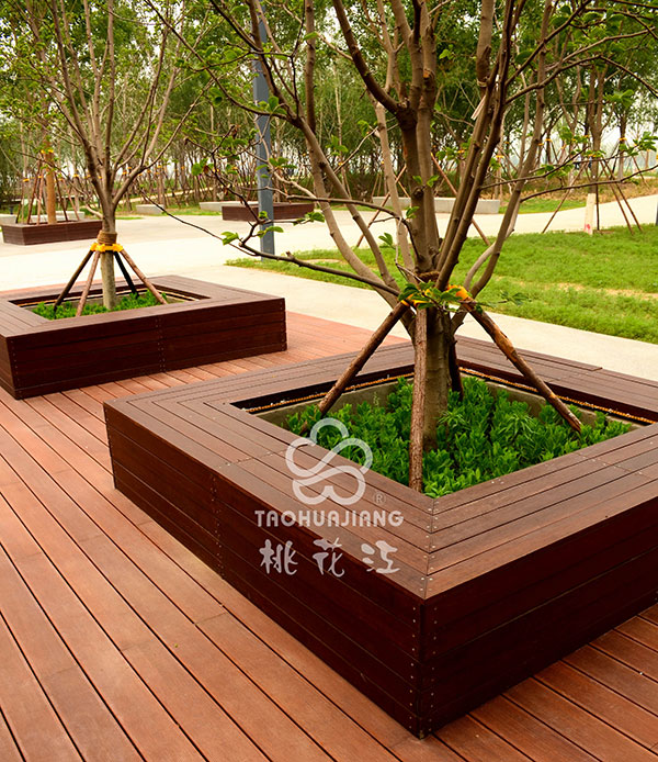 竹木圍樹坐凳，竹樹圍